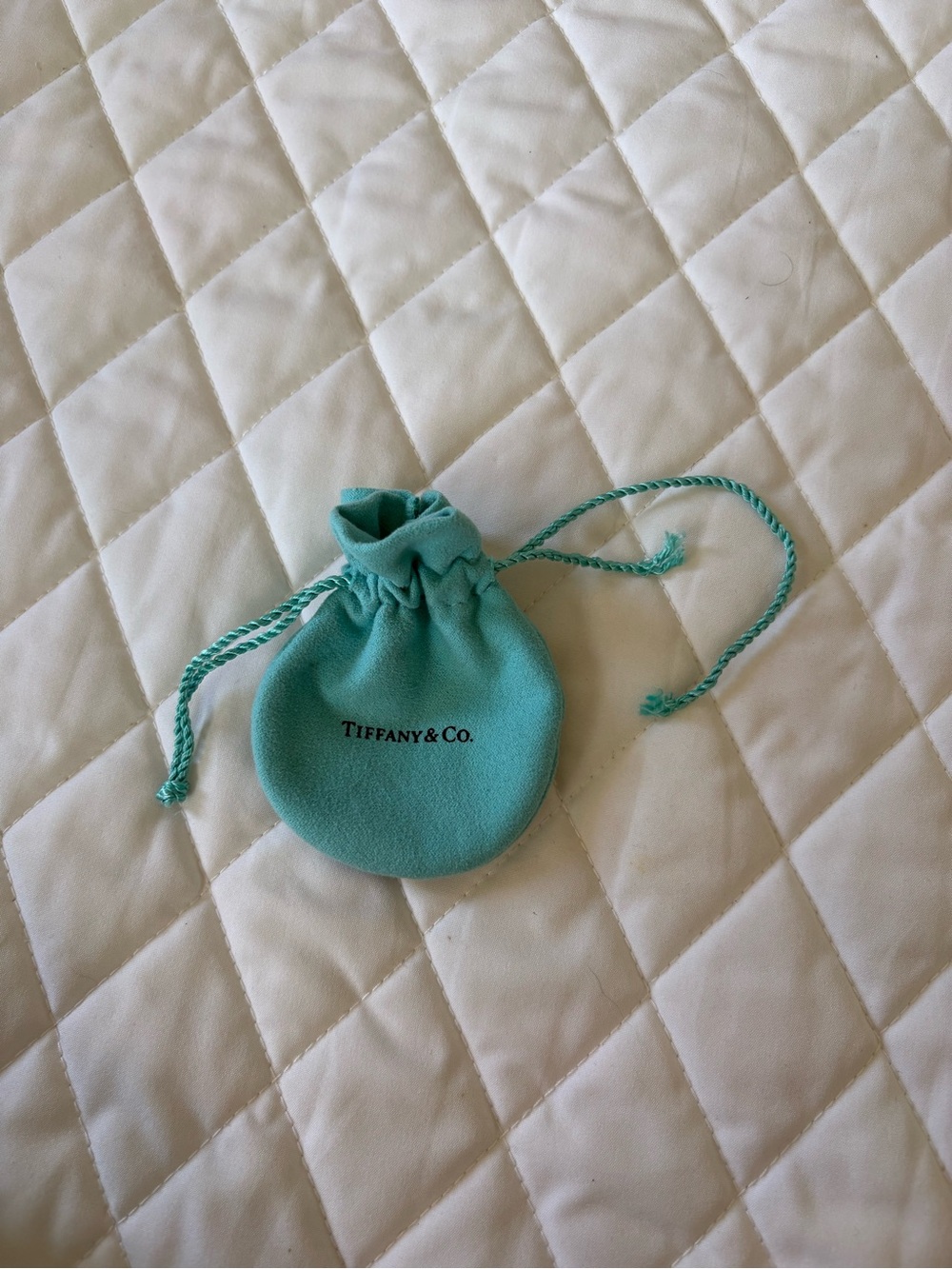 Tiffany & Co. Signature Drawstring Pouch